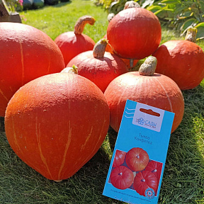 Тыква Конфетка F1