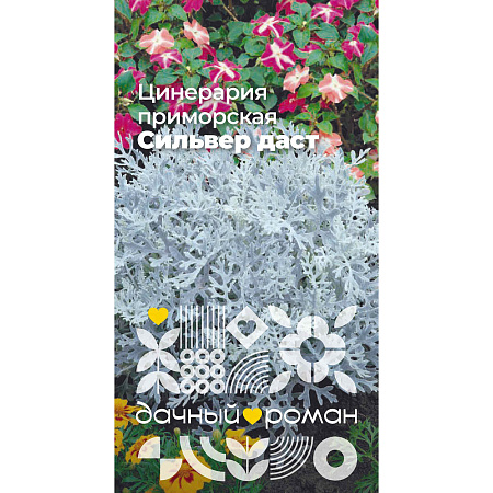 Фото Семена Цинерария приморская Сильвер даст, 0,1 гр. Дачный роман