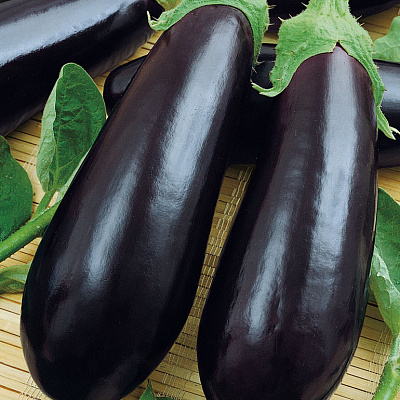 Баклажан Навал F1 5шт