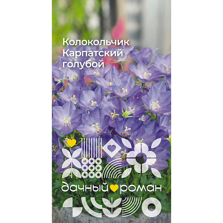 Фото Семена Колокольчик Карпатский голубой, 0,1 гр. Дачный роман
