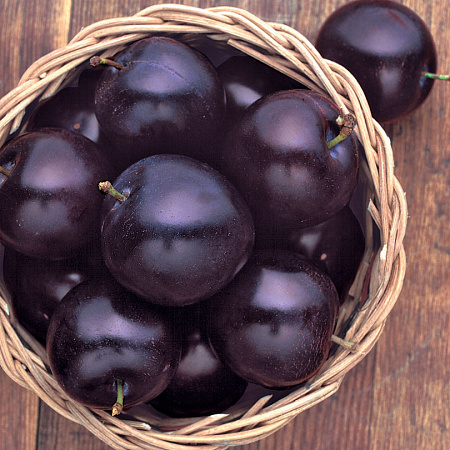 Фото Слива Любинария