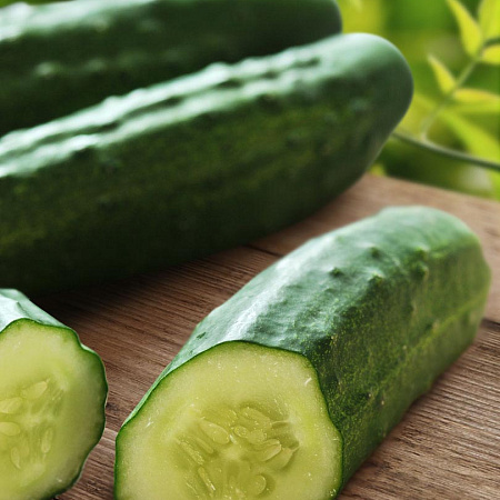Фото Огурец Молодечик