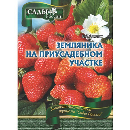 Фото Закотин В.С. "Земляника на приусадебном участке"~6032