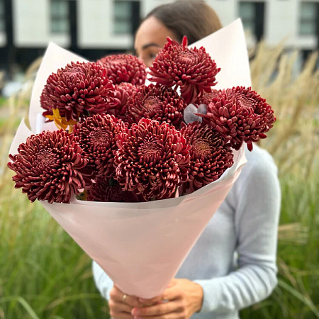 Фото Хризантема корейская Бигуди Перпл