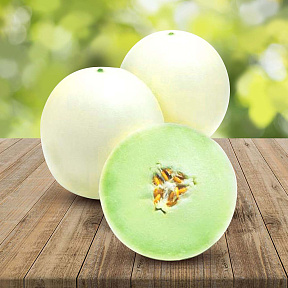 Дыня Ханикомб