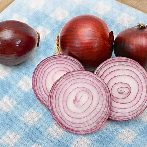 Лук-севок озимый Акадо