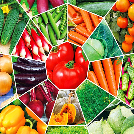 Фото Набор Сады России рекомендуют 1