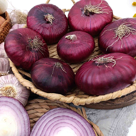 Фото Лук репчатый Ялтинский