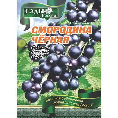 Фото Каньшина М.В. "Смородина черная. Селекция,генетика,сорта"~6026
