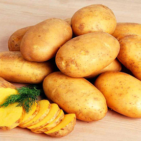 Картофель Королева Анна