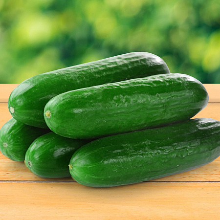 Фото Огурец Пони F1