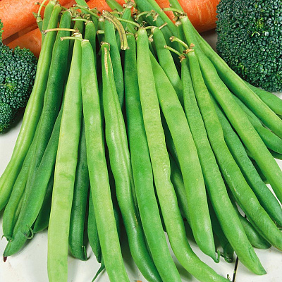 Фасоль Паулиста