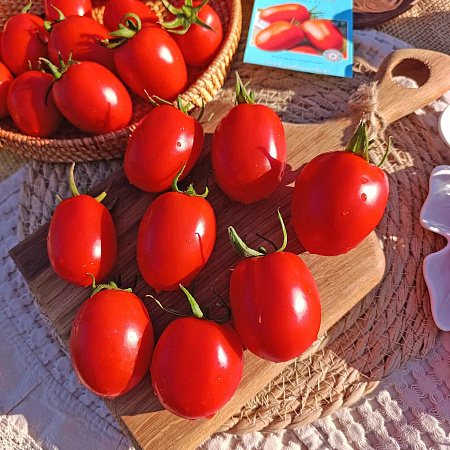 Фото Помидор Алинка F1