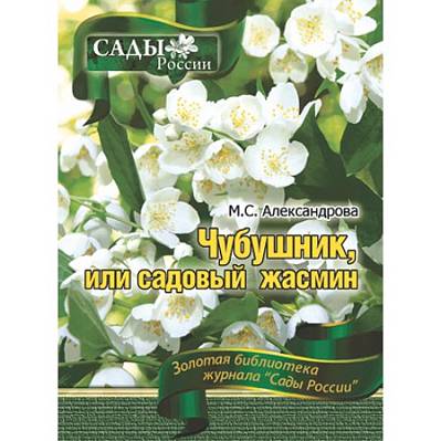 Фото Александрова М.С. "Чубушник или садовый жасмин"~6021