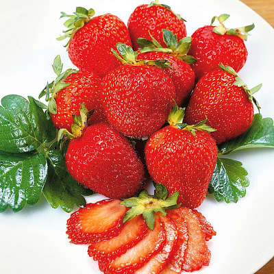 Земляника садовая Медовая