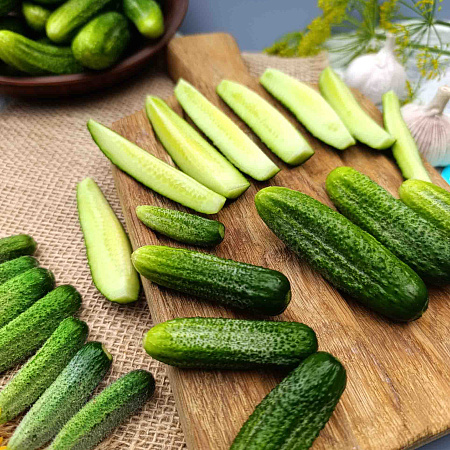 Фото Огурец Отело F1