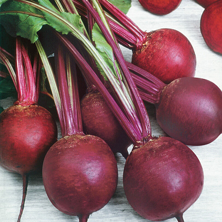 Фото Свёкла Кестрел F1 1гр