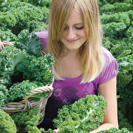 Фото Капуста листовая Рефлекс F1