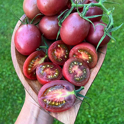 Помидор Мерхаба F1