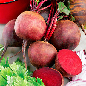 Свёкла Камаро F1