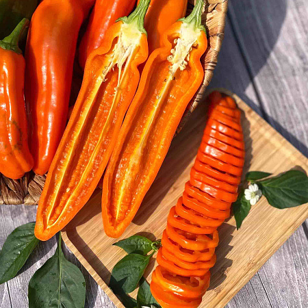 Фото Перец сладкий Палермо оранжевый F1