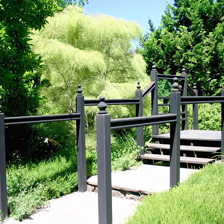 Фото Берёза карликовая Тростс дварф