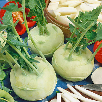 Капуста кольраби Едер p3 F1 12шт