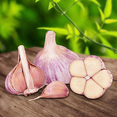 Фото Чеснок озимый Валдайский 10 шт