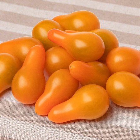 Фото Помидор Оперино F1