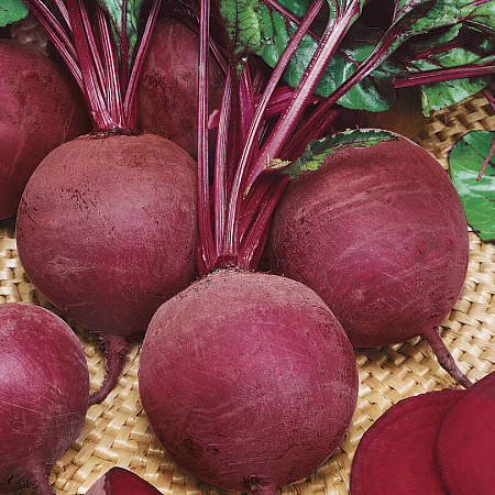 Фото Свёкла Аксинья F1