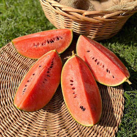Фото Арбуз Марбл F1
