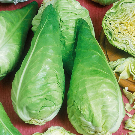 Фото Капуста белокочанная Сонсма F1 16шт