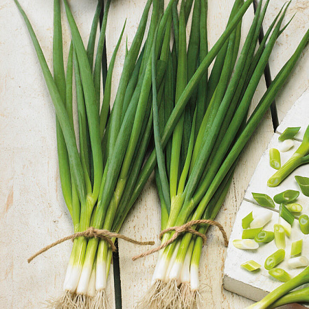 Фото Лук на зелень Кайгаро 0,8гр