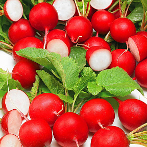 Редис Рондеел чудо