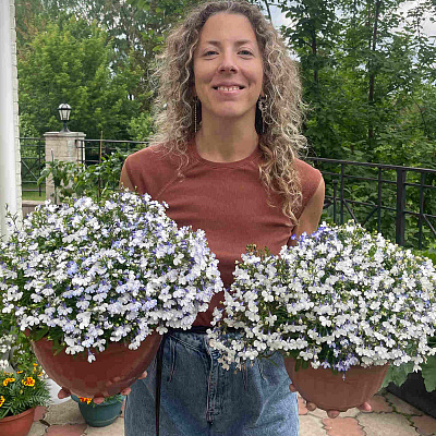 Лобелия Регата Блю Сплэш