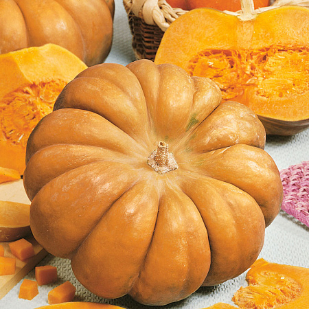 Фото Тыква Ромашечка