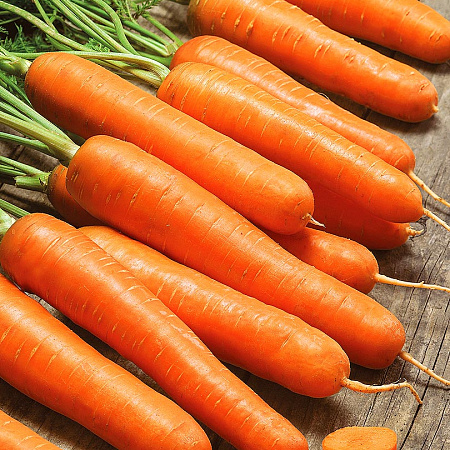 Фото Морковь Лагуна F1 0,5гр