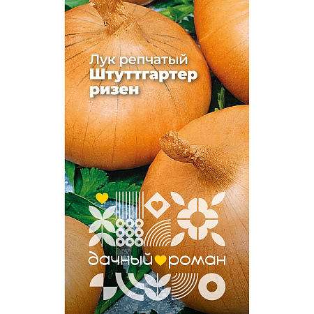 Фото Семена Лук репчатый Штуттгартер ризен, 0,5 гр. Дачный роман