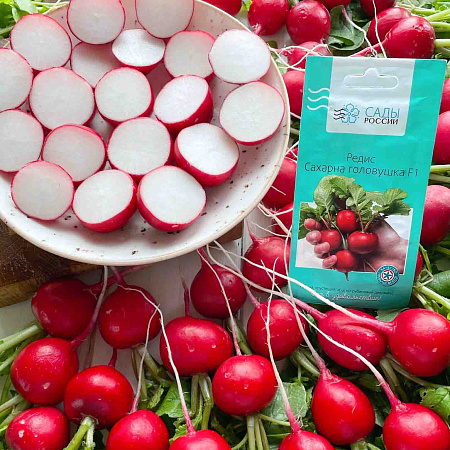 Фото Редис Сахарна головушка F1