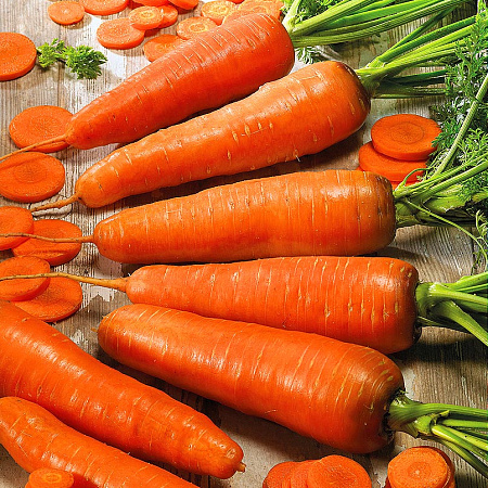 Фото Морковь Медовый спас F1