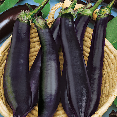 Баклажан Афалина F1