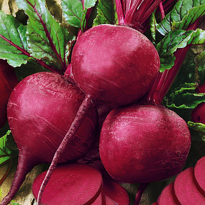 Свёкла Ларка