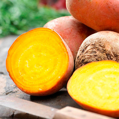 Свёкла Болдор