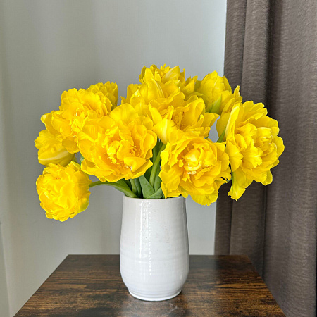 Фото Тюльпан махровый ранний Мэри Джо