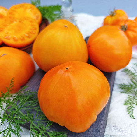 Фото Помидор Золотое бычье сердце F1