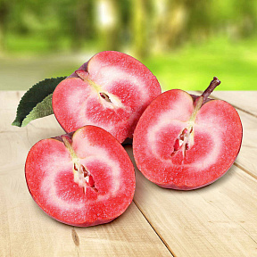 Яблоня колонновидная Рэд лав