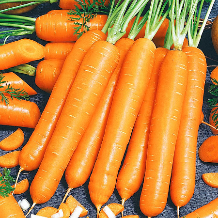 Фото Морковь Маэстро F1 0,5гр