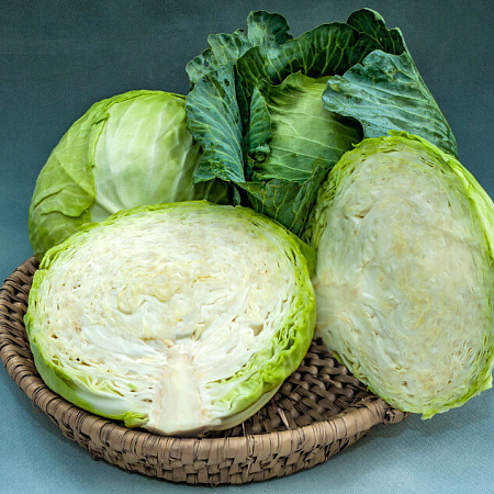 Фото Капуста белокочанная Аккорд F1 16шт