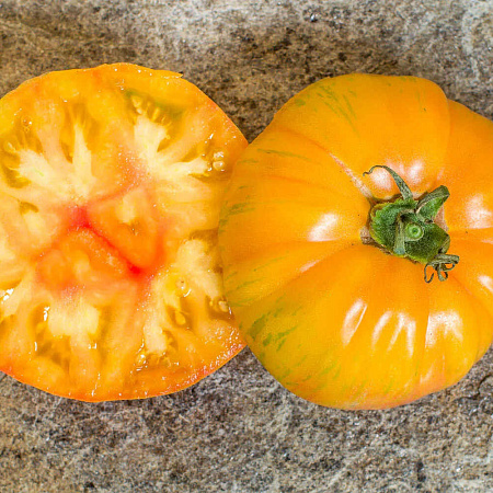 Фото Помидор Корифей