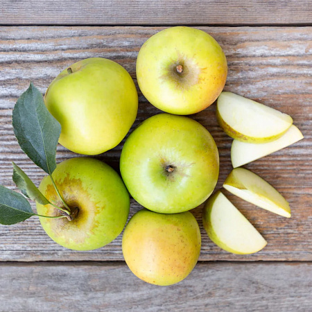 Фото Яблоня Памяти Липунова